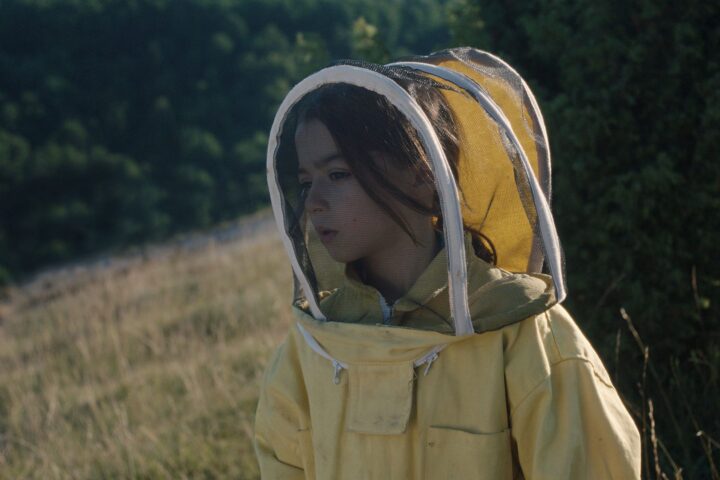 20,000 Species of Bees