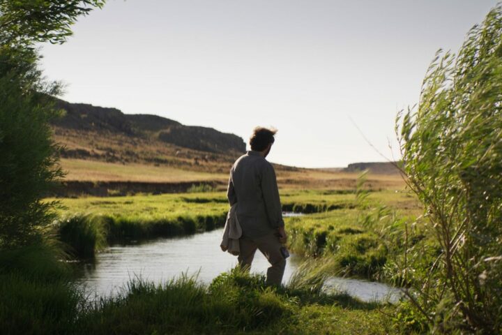 About Dry Grasses