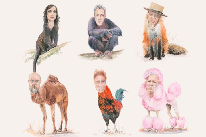 Swans, The Beggar