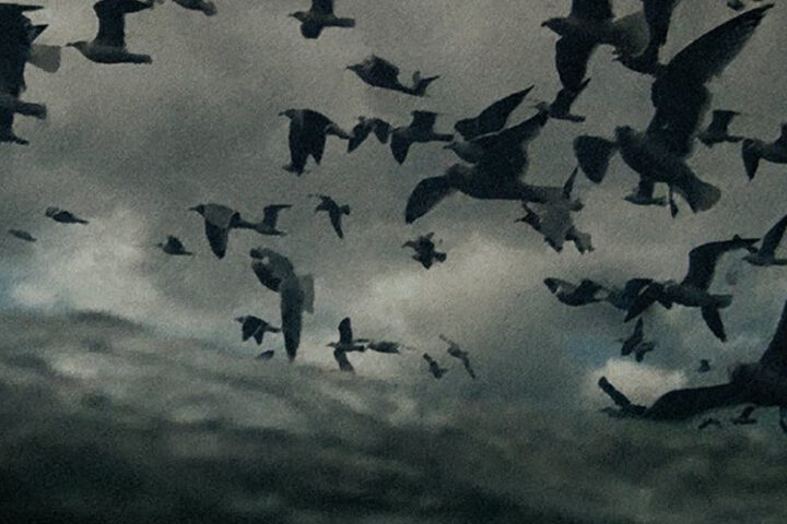 Leviathan