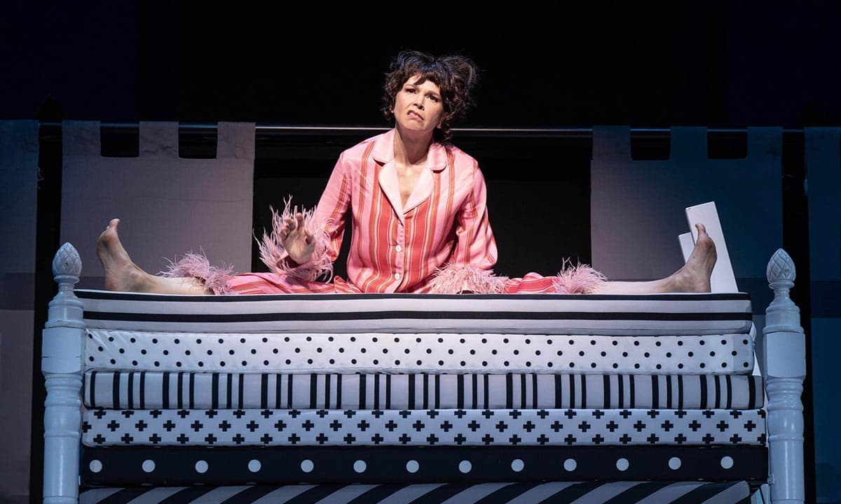 Once Upon a Mattress
