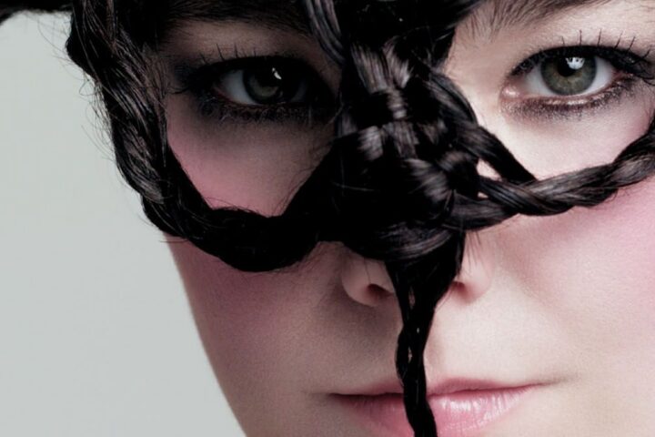 Bjork, Medulla
