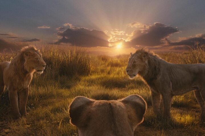 Mufasa: The Lion King