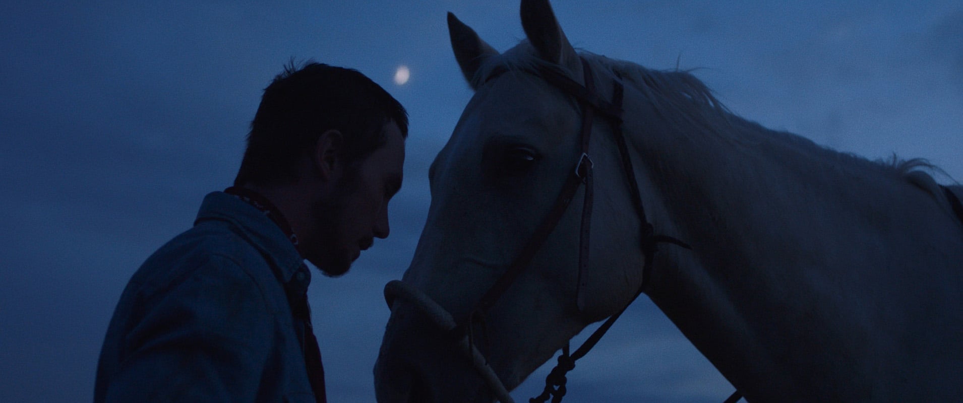 The Rider