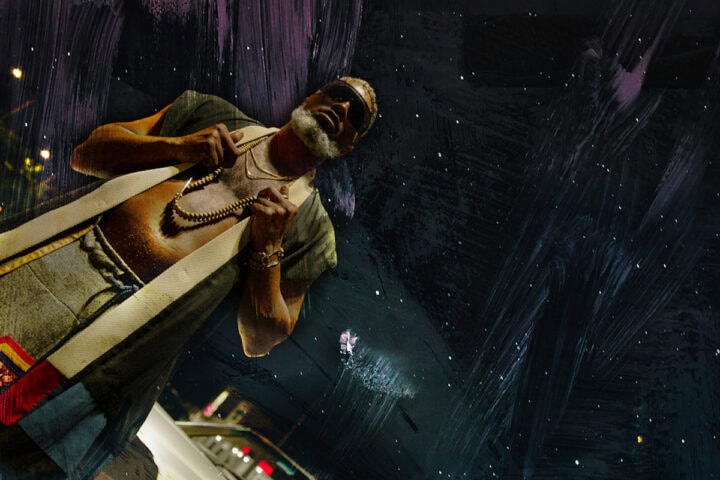 Shabazz Palaces, Robed in Rareness